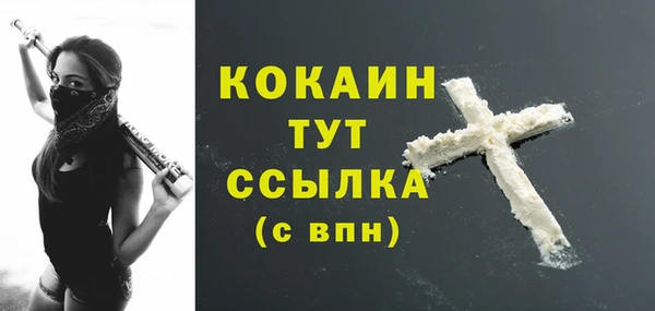 сатива Лихославль