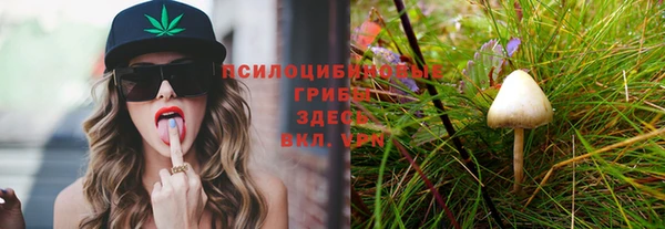 МДПВ Липки