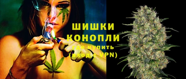 сатива Лихославль