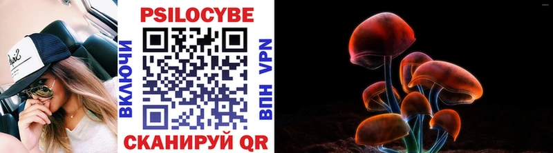 Псилоцибиновые грибы Psilocybine cubensis  магазин продажи наркотиков  Макушино 